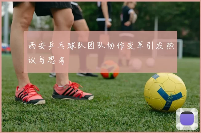 西安乒乓球队团队协作变革引发热议与思考
