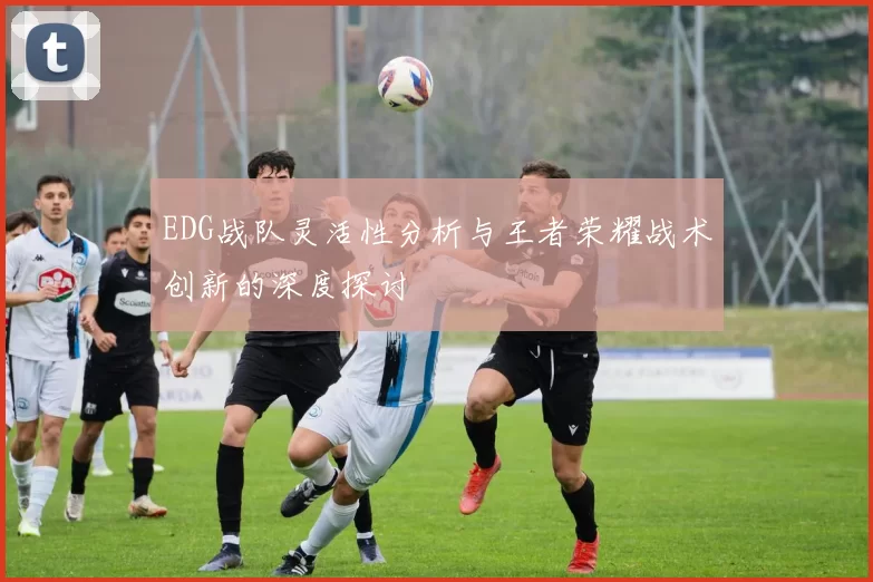 EDG战队灵活性分析与王者荣耀战术创新的深度探讨