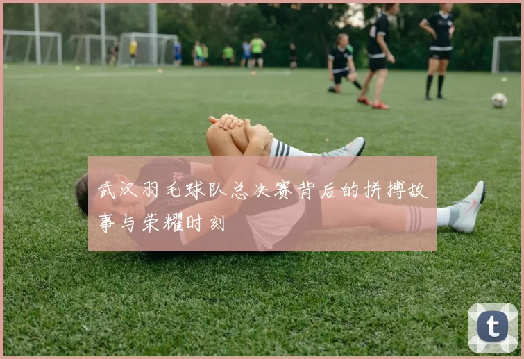 武汉羽毛球队总决赛背后的拼搏故事与荣耀时刻