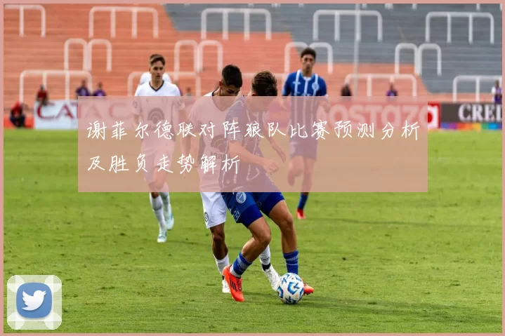 谢菲尔德联对阵狼队比赛预测分析及胜负走势解析