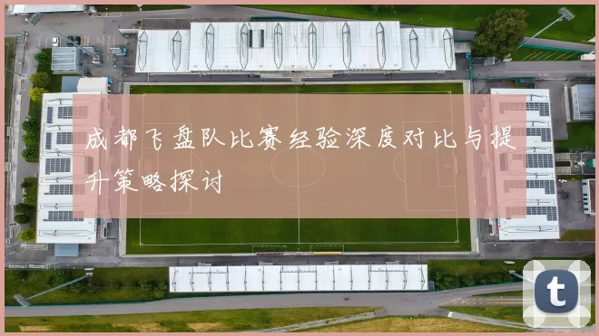 成都飞盘队比赛经验深度对比与提升策略探讨