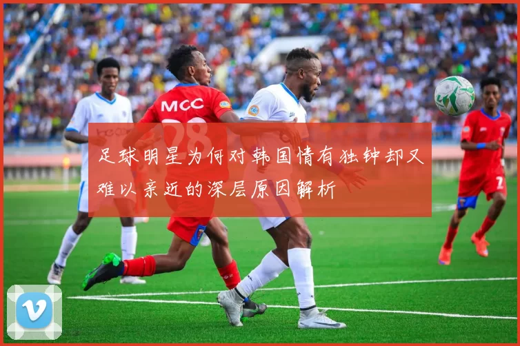 足球明星为何对韩国情有独钟却又难以亲近的深层原因解析
