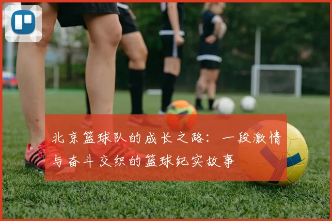 北京篮球队的成长之路：一段激情与奋斗交织的篮球纪实故事