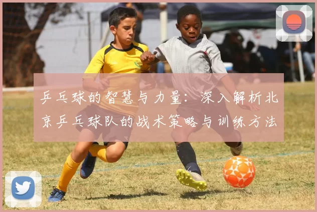 乒乓球的智慧与力量：深入解析北京乒乓球队的战术策略与训练方法