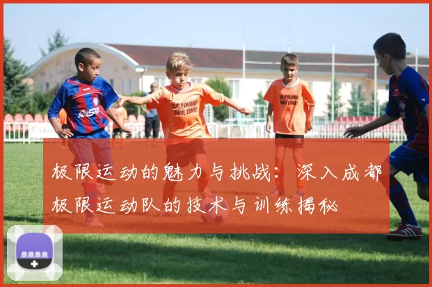 极限运动的魅力与挑战：深入成都极限运动队的技术与训练揭秘