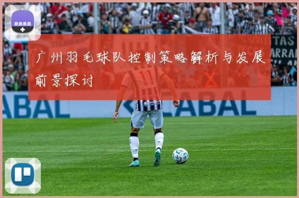 广州羽毛球队控制策略解析与发展前景探讨