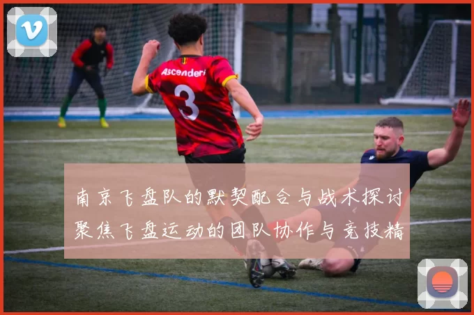 南京飞盘队的默契配合与战术探讨聚焦飞盘运动的团队协作与竞技精神