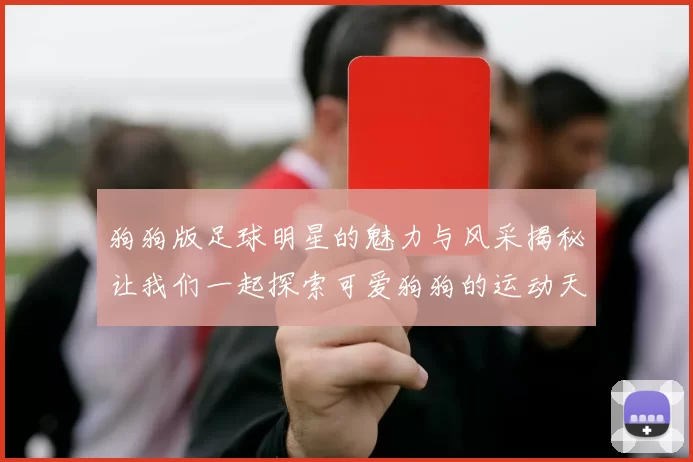 狗狗版足球明星的魅力与风采揭秘让我们一起探索可爱狗狗的运动天赋