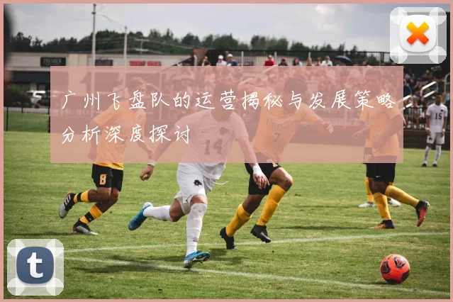 广州飞盘队的运营揭秘与发展策略分析深度探讨