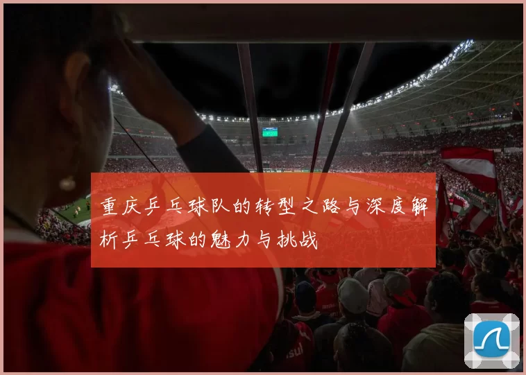 重庆乒乓球队的转型之路与深度解析乒乓球的魅力与挑战