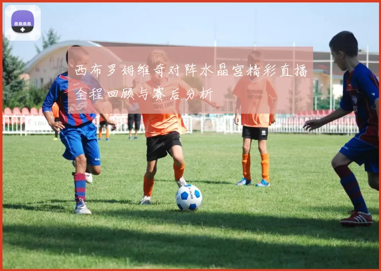 西布罗姆维奇对阵水晶宫精彩直播全程回顾与赛后分析