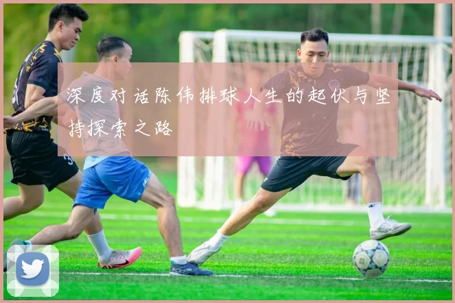 深度对话陈伟排球人生的起伏与坚持探索之路